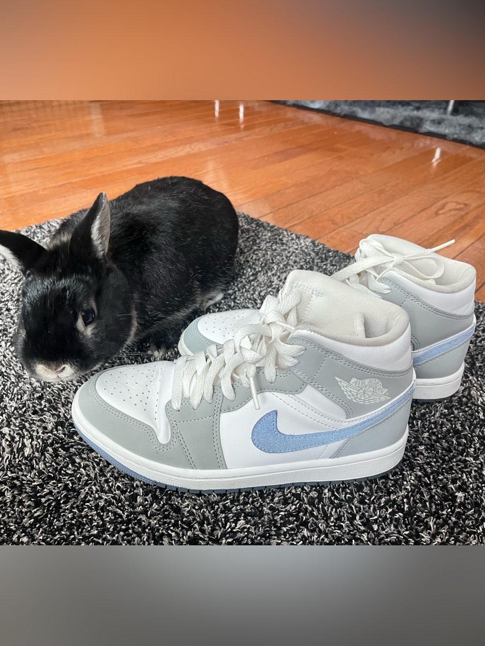 Nike Air Jordan Wolf Grey Size 7 (Not including Sir Bunny)
